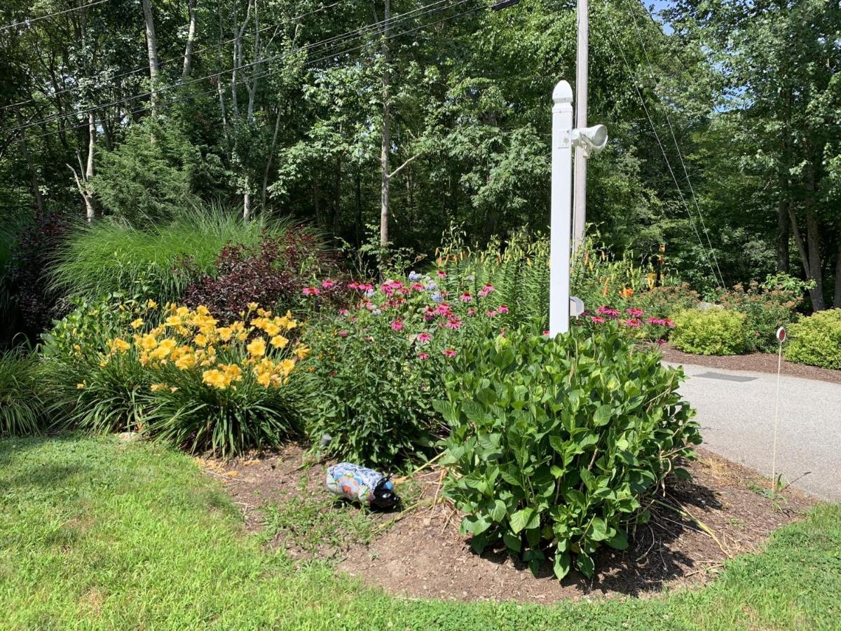 Cozy Bungalow Just Minutes From Mystic, Westerly Beaches, Boating And Casinos! Bungalow جروتون المظهر الخارجي الصورة